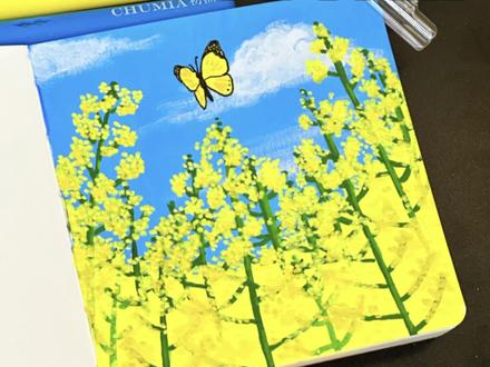 么么教你一分钟画|油菜花开蝶自来🦋#初描丙烯马克笔 #绘画 #画画教程 #零基础学画画 #手绘