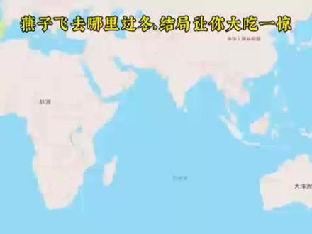 燕子所去的南方,惊掉你的下巴。#路线图 #距离