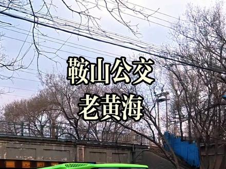 鞍山公交车,老黄海#鞍山公交 #黄海客车