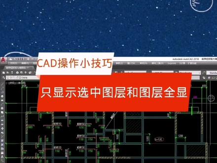 CAD操作小技巧~只显示选中图层和图层全显#钢筋翻样 #e筋翻样 #cad教程