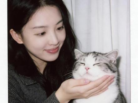 好有爱好喜欢,和猫咪相拥合照ai指令教程来啦!#豆包#豆包ai #豆包P图已经nextlevel了#和宠物合照#和宠物合照指令 和猫咪合照 和自家萌宠合照