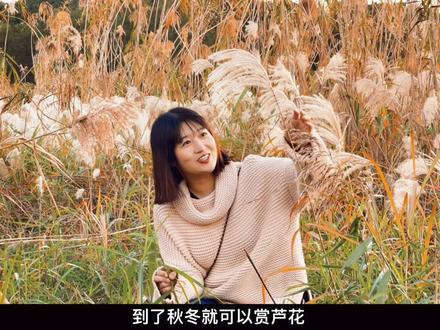 2021年12月4日,首届天下洞庭芦苇艺术季开启“苇”幕。@岳阳城投文旅 #洞庭湖 #岳阳 #芦苇荡 #2021首届天下洞庭芦苇艺术季 #2021只剩最后一个月