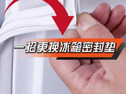 冰箱密封条更换方法分享给你 #冰箱维修 #抖音年味vlog大赏 #在拍一种很新的春节vlog #啄木鸟家庭维修 #1筷守护团圆