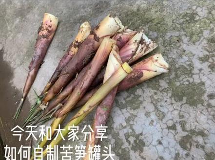 自制零添加的苦笋罐头,后期制作都要等女儿睡着了做,第一次做后期制作不容易,但是制作罐头更不易,辛苦爸爸妈妈了!