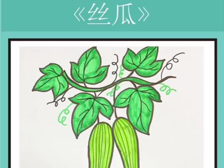 丝瓜简笔画教程,快来一起画画吧#画画 #简笔画 #亲子 #儿童简笔画 #创作灵感