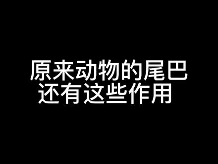 你们知道动物的尾巴有什么作用吗?#动物 #科普 #动画 #可爱 #童书推荐 #儿童 #萌宠 #读书