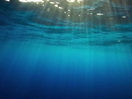 如何半天速通四级(无痛冲刺版) #四六级 #四六级备考 #四六级备考攻略 #四六级考前急救