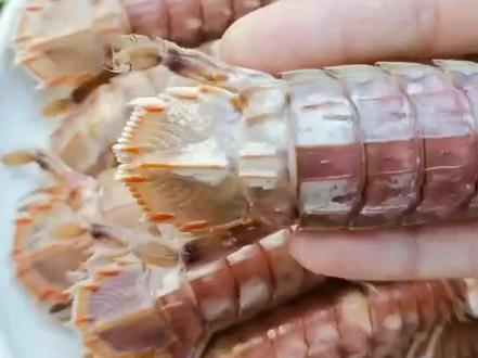 炒肉丝怎么炒嫩又好吃视频 dbb8ade1d927bfd061413c149fd077fa~tplv-dy-resize-origshort-autoq-75:330.jpeg?x-expires=1987142400&x-signature=Uto1XQUXB60V%2BdkiYy1YUxgK0Ts%3D&from=3213915784&s=PackSourceEnum_AWEME_DETAIL&se=false&sc=cover&biz_tag=pcweb_cover&l=021671785686072fdbddc0100ff2f010a70361f000004294e7848