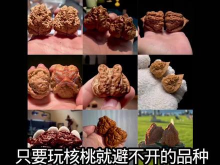 文玩核桃蛤蟆头 #文玩核桃核桃 #文玩核桃爱好者 #文玩核桃知识 #蛤蟆头 #成都文玩核桃