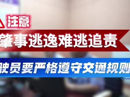 肇事逃逸难逃追责 驾驶员要严格遵守交通规则
