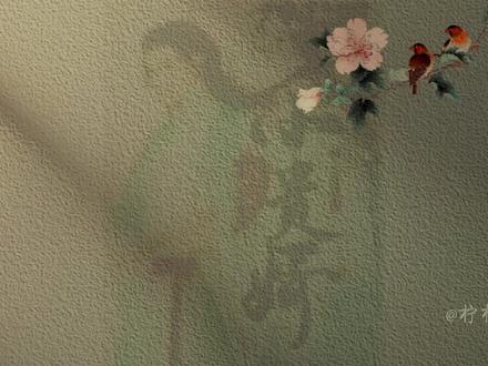 第781章 | 逍遥小贵婿 #逍遥小贵婿 #小说 #小说推荐 #小说推荐热门 #拿捏秋日的轻盈感