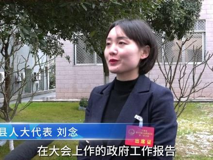 【聚焦宁强两会】人大代表话心声