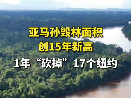 巴西官方报告:亚马孙毁林面积创15年新高