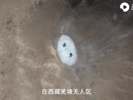 所有牦牛死后都会来到这个地方 #视频来源:上西瓜视频 搜索深度玩家@郑义逃离人类