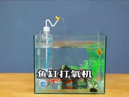 用两个塑料瓶就能制作一个鱼缸打氧机,不用电就能打开……