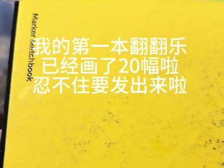 我的第一本翻翻乐,20幅小总结#零基础学画画 #翻翻乐 #丙烯马克笔
