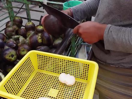 亚答子是如何采摘和加工的?这种很像山竹的东西,你有吃过吗?#dou来安利纪录片 #视界先生 #涨知识 #科普一下 #亚答子