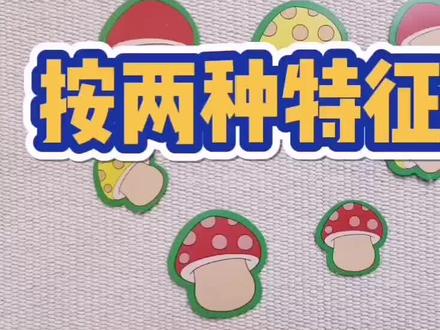 中班的数学—按两种特征分类#在家早教 #早教幼教