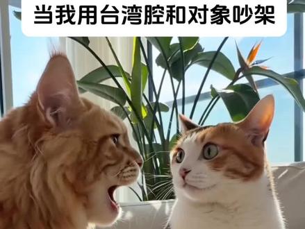 当我用台湾腔和对象吵架 #抖音AI创作大赛 #AI创作浪潮计划 #剪映 #猫咪 #萌宠出道计划