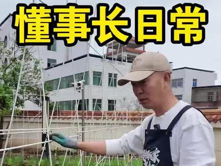 给蔬果搭架子,我用了不同的方法,朋友们觉得怎么样? #种菜 #种菜小技巧 #田园生活 #乡村生活