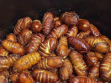 空气炸锅烤蝉蛹,有喜欢的吗#空气炸锅 #在家做美食 @抖音小助手 #蝉蛹超级好吃