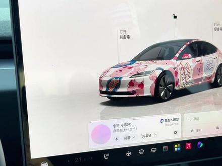 新系统开机动画和豆包语音助手唤醒 #特斯拉 #特斯拉model3 #特斯拉ota