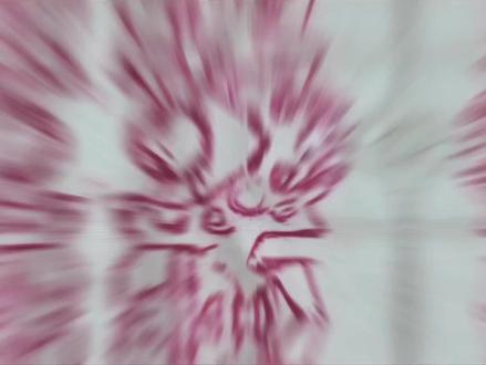 文武狮城沙包制作小记|把家乡沧州缝进布兜里✨
小小沙包藏乾坤,狮城风物纳其中!
暮苏手绘家乡沧州,铁狮雄姿、武术精魂,一笔一划皆是匠心;
非遗针法亲手缝制,运河碧波、南川楼阁,一针一线尽是骄傲!
带娃触摸家乡文化,原来手工的快乐这么简单~
话题标签:
#亲子手工小记 #家乡文化手作 #非遗传承从小做起 #手工沙包的快乐 #真实生活分享