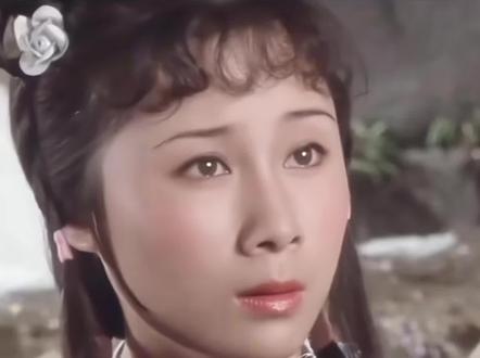 “牧羊女”丁岚的悲哀:自毁前程弃国籍,离婚30年后她后悔了吗?#真实故事 #情感故事 #丁岚 #李连杰 #少林寺