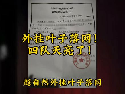 超自然外挂叶子落网 #超自然行动组#同学一起超自然吗#超自然百万激励计划#超自然外挂#超自然四队