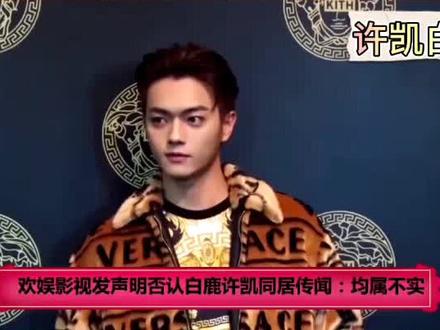 看到这个辟谣,你们是什么感觉?😌#许凯白鹿否认同居 #许凯 #白鹿 #甜甜甜甜的恋爱