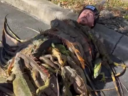 动物怪异行为鉴赏第62期 #科普 #动物#动物的迷惑行为 #野生动物 #神奇动物