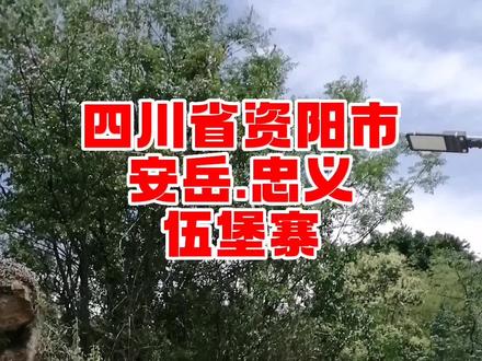 四川省资阳市安岳县忠义镇伍堡寨,据说当年张献忠都没能攻下的地方#历史古迹