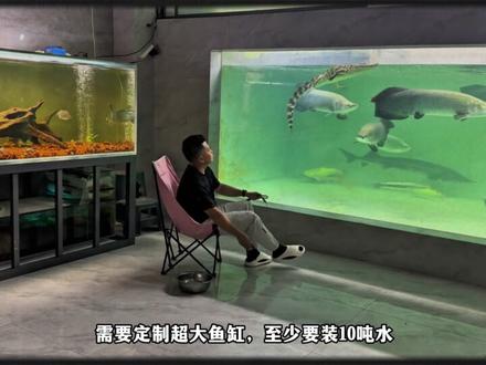 长着“铁甲”的巨骨舌鱼,2米能卖15万 #亚马逊 #巨骨舌鱼 #养鱼