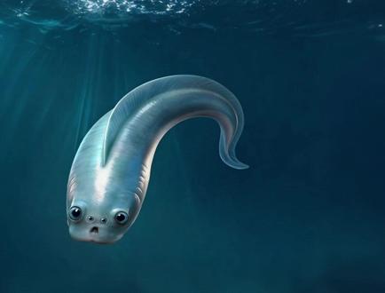 神奇的四眼古鱼 #科普 #鱼 #古生物 #化石 #奇异动物召集令