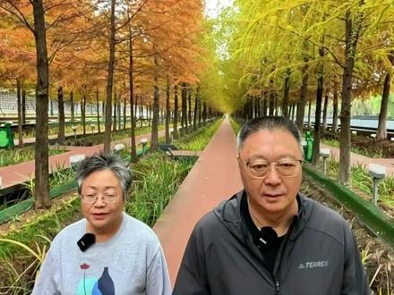 2026年1月1号起避孕用具企业国家开始征税