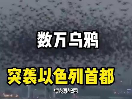 成千上万乌鸦突袭以色列首都,这究竟是战争预警 #国际##全球纵横谈#