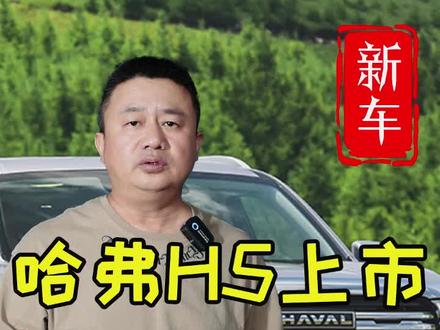 哈弗H5全新上市,值不值得买,哈弗H5哪款最值得买,H5和坦克300怎么选 #哈弗 #哈弗H5 #全尺寸SUV