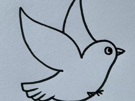 简笔画和平鸽 #儿童简笔画 #简笔画教程