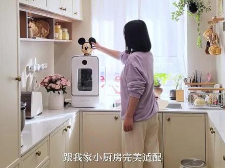 爆火的胶囊式洗碗机真实体验 #栗上胶囊式洗碗机 #栗上洗碗机 #洗碗机 #厨房好物