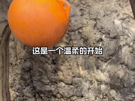 它的世界很小,小到只有一只玩偶的怀抱#猴子 #动物 #神奇动物 #情感 #可爱