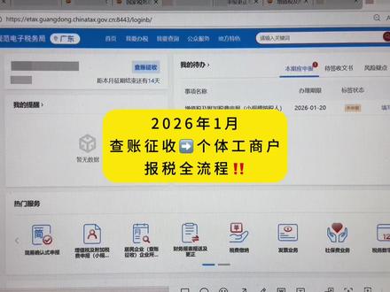 个体户报税啦‼️最新详细教程来了,老会计手把手教会你#会计实操 #报税 #个体户 #会计干货 #会计