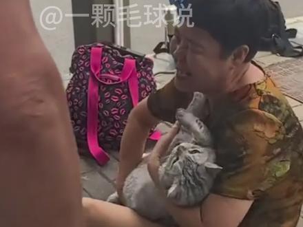 该怎么理解八年呢 #萌宠 #萌宠出道计划 #真实生活分享计划 #猫咪 #dou上热门 @DOU+小助手 @DOU+上热门 @抖音小助手