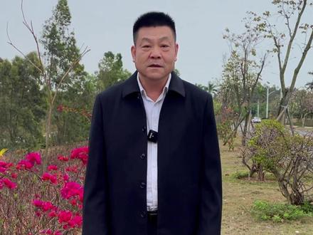 吴川老板陈华的故事 #老庞说事 #吴川老板