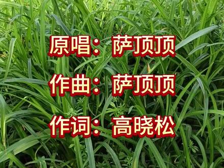 《万物生》
原唱:萨顶顶
作曲:萨顶顶
作词:高晓松
翻唱:网络歌手
字幕:寰宇看星
视频:寰宇看星
制作:寰宇看星
时长:7分46秒