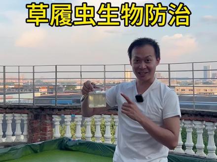 草履虫是泰斗鱼苗、孔雀鱼苗、灯科鱼苗、热带鱼苗开口的天然高蛋白饲料!斗鱼繁殖,丰年虾的替代饲料,可自繁殖,看看十一哥怎么说吧!#泰国斗鱼 #观赏鱼 #水族 #养鱼养心 #泰国斗鱼养殖教程 #草履虫 #广州十一哥 #十一水族