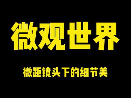 #微距 还不会拍?简单实用的微观世界技巧,看完赶紧去试试!!!#手机摄影 #教程 #实景拍摄