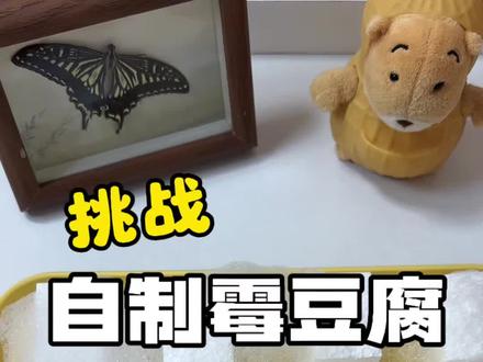 挑战自制可以玩的霉豆腐 #手工 #霉豆腐 #玩个很新的东西