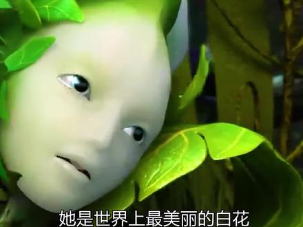 一部感动了上亿人的动画佳作《真相》#短片解说 #暖心 #爱情
