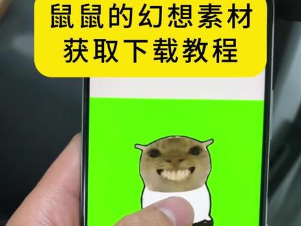 《枕头开会》鼠鼠的幻想表情包素材获取下载教程来了鼠鼠的表情包素材怎么获取下载鼠鼠的表情包素材 #耄耋小猫 #鼠鼠的幻想表情包 #鼠鼠的幻想素材 #鼠鼠的幻想表情包素材