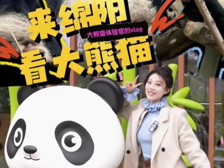 🚩当大熊猫体验官的一天,看大熊猫攻略up up!12月29号绵阳中华大熊猫苑开始面向公众试运营啦!#绵阳中华大熊猫苑 #青睐绵阳 #熊猫有约 #来绵阳看熊猫@熊猫有约 @绵阳中华大熊猫苑